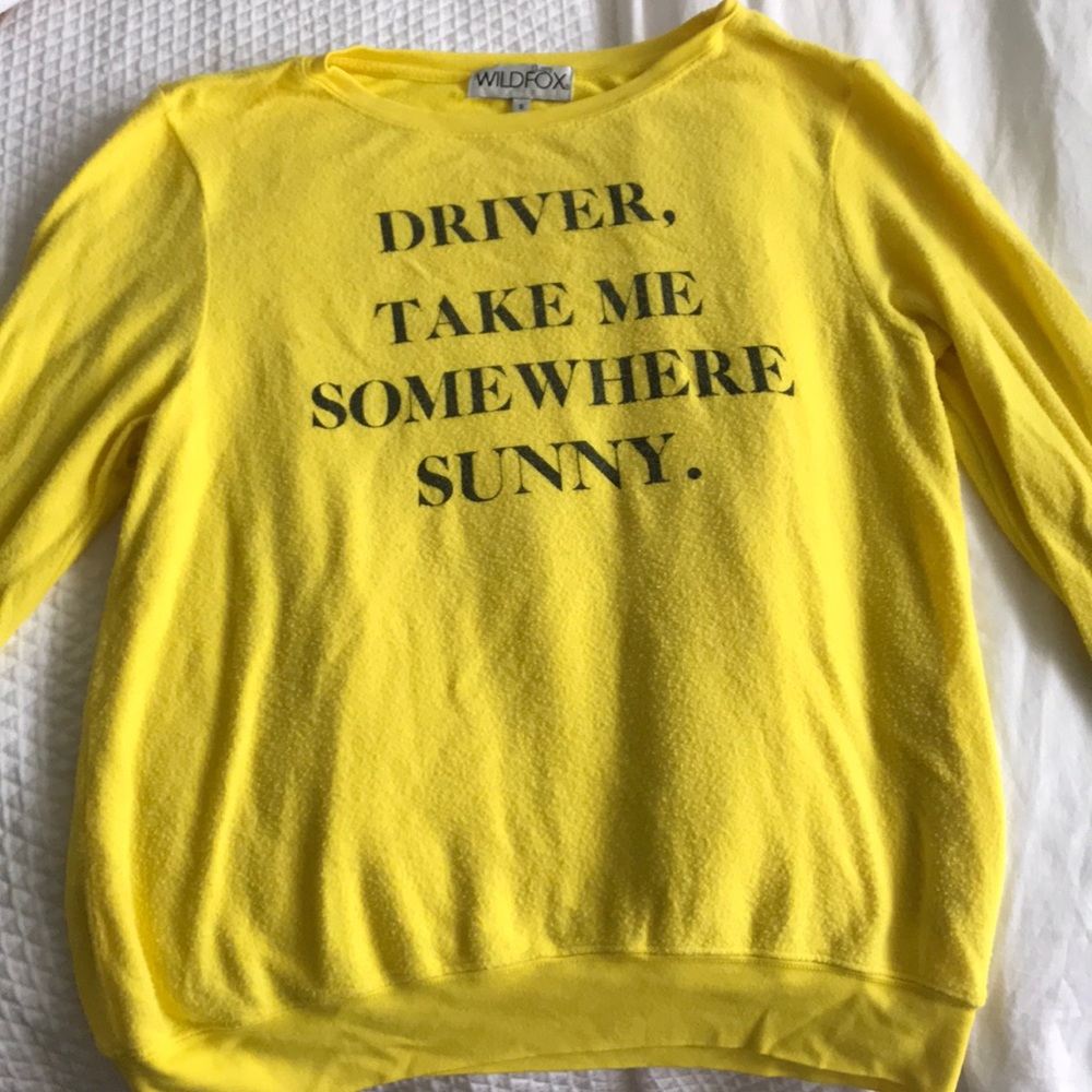 Wildfox Sweatshirt